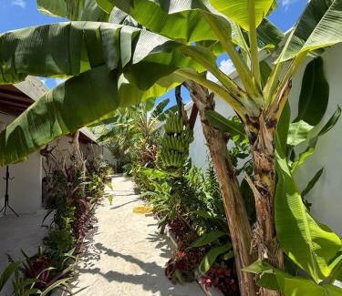Thoddoo House | Veli garden thoddoo