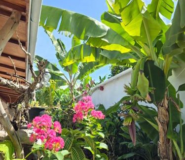 Thoddoo House | Veli garden thoddoo