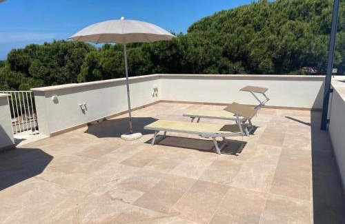 Tirrenia Apartment | Venere Apartament