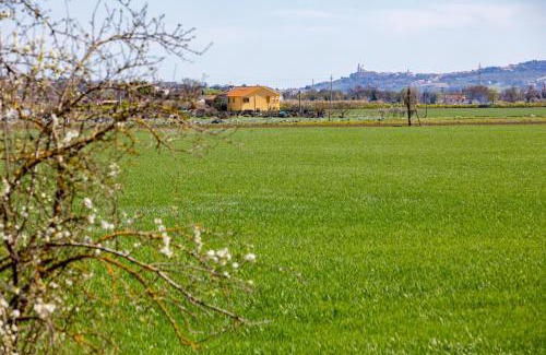 Osimo House | Verde Marche