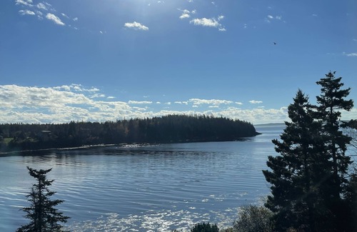 Bernard Cottage | Very Private Seaside Getaway - Excellent WiFi for Remote Work - Lots to Explore