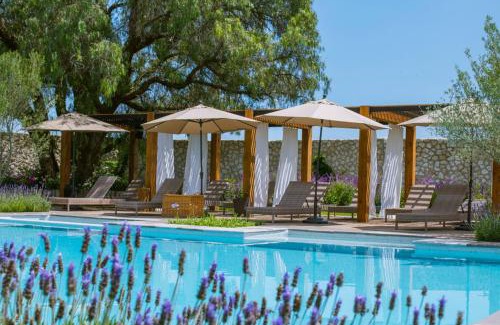 San Miguel de Allende Hotel | Viñedos San Francisco