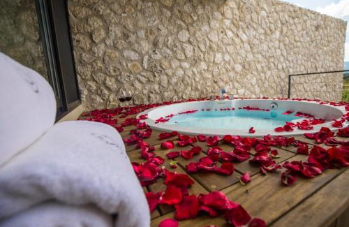 San Miguel de Allende Hotel | Viñedos San Francisco