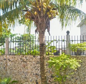 Douala Apartment | Vicky Appartements Palmengarten Douala Maképè Belavie
