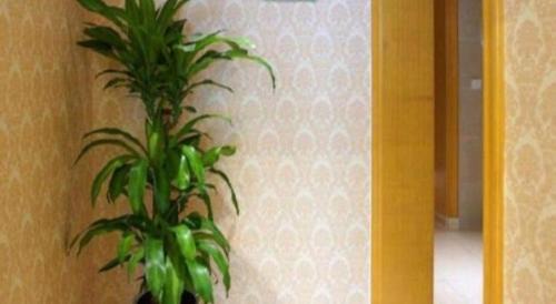 Qingpu Hotel | Vienna Hotel Shanghai Hongqiao Huaxin Road