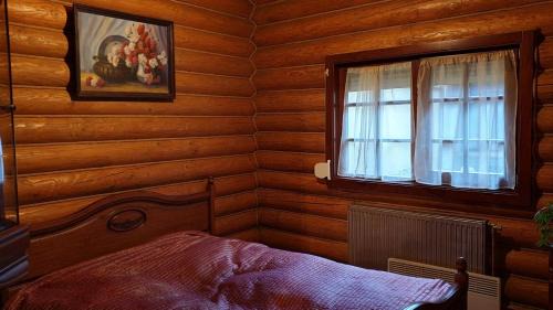 Uzhhorod House | Viktoria