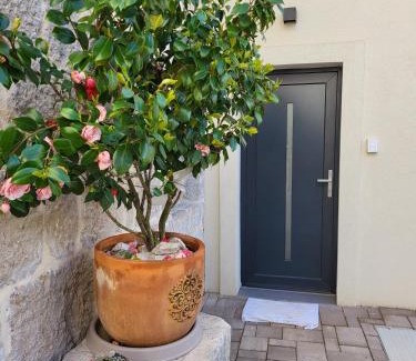 Imotski Villa | Vila Đirada