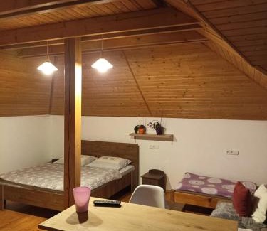 Poprad House | Vila Štefan Drevko