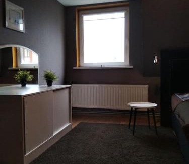 Siauliai City Center Apartment | Vila 1936