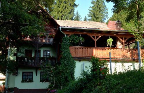 Sovata House | Vila Anna