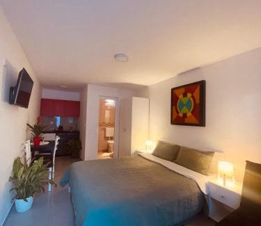 Veliko Gradiste Apartment | Vila Biser