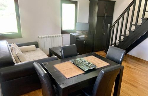 Zlatibor Apartment | Vila Darija Zlatar - studio apartman br. 3