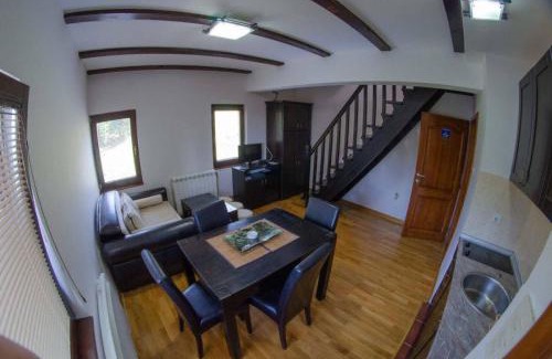 Zlatibor Apartment | Vila Darija Zlatar - studio apartman br. 3