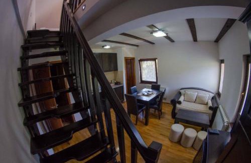 Zlatibor Apartment | Vila Darija Zlatar - studio apartman br. 3