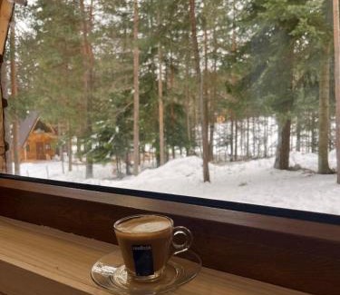 Zabljak House | Vila Djordje Žabljak