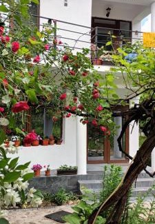 Baile Herculane House | Vila Geany