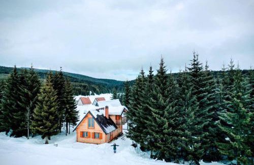 Central Serbia Villa | Vila Milica - Golija