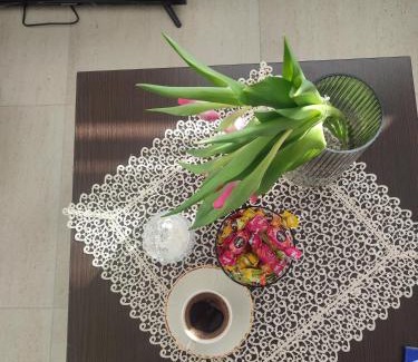 Kraljevo Apartment | VILA Milovanović
