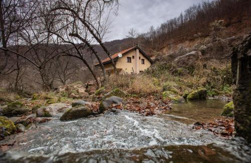 Stara Planina House | Vila Nada