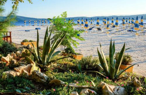 Selce Apartment | VILA SABRINA Selce