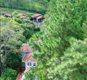 Campos do Jordao House | Vila Serra da Luz