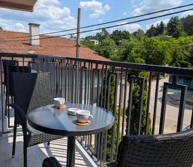 Vrnjacka Banja Apartment | Vila Simfonija