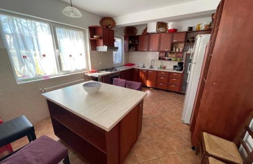 Moieciu Villa | Vila Sohodol Travel