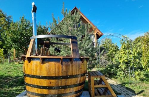 Petrovaradin House | Vila Stancevic wellness