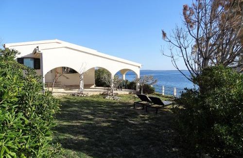 Miskovici House | Vila Vinko