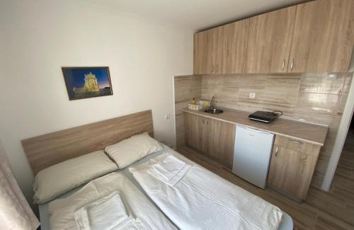Prolomska Banja Apartment | Vila Zdravković Prolom Banja