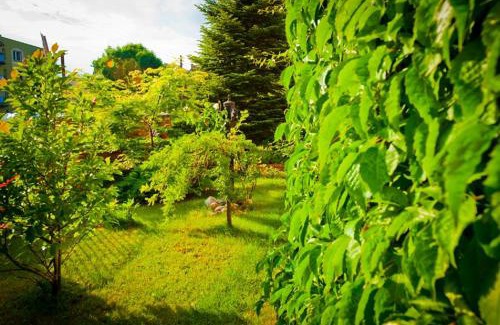 Leba Bed & Breakfast | Villa Akacja
