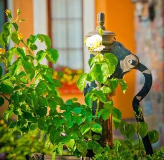 Leba Bed & Breakfast | Villa Akacja