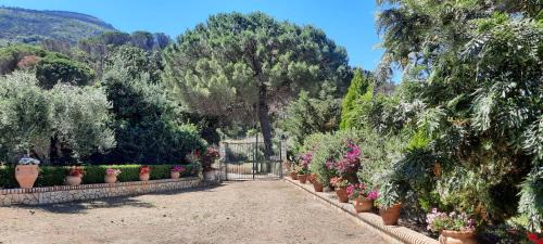 Cefalu Villa | Villa al Presti, Vacanze in pieno relax