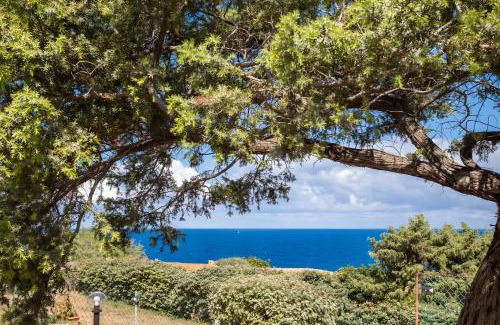 Costa Paradiso Villa | Villa Alba