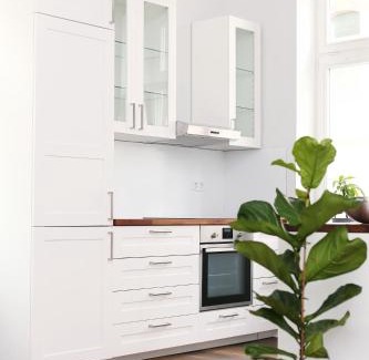Bad Wildungen Apartment | Villa Alexandra 1897 Wohnung Maria