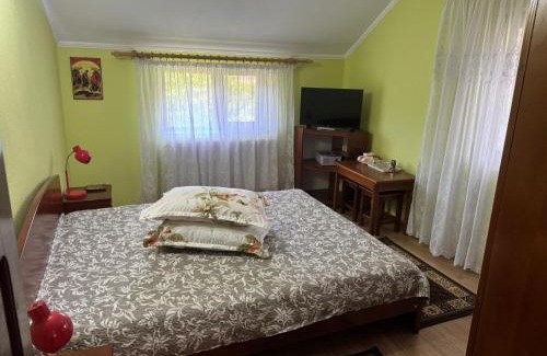 Calimanesti House | Villa Alexandra