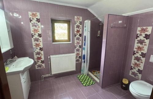 Calimanesti House | Villa Alexandra