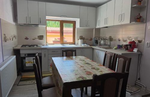 Calimanesti House | Villa Alexandra