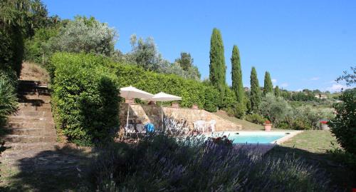 Panzano in Chianti Villa | Villa Amaranto