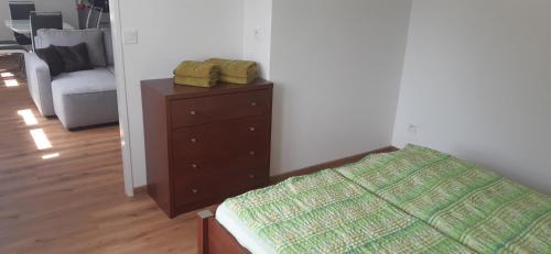 Frantiskovy Lazne Apartment | Villa Appartements