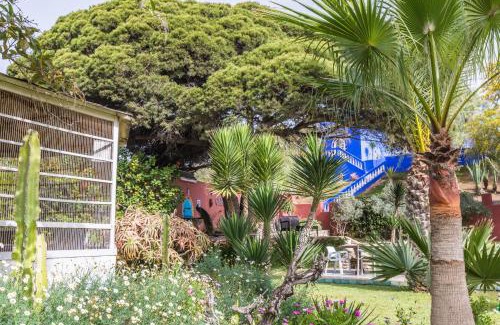 Essaouira House | Villa Beldi