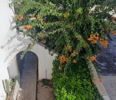 Petaloudes House | Villa Bianca