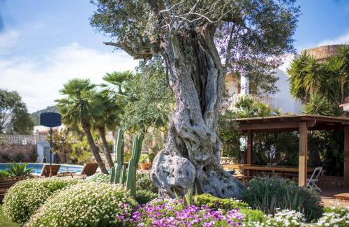 Ciudad Universitaria Villa | Villa Can Cardona Sea views Perfect 4 families