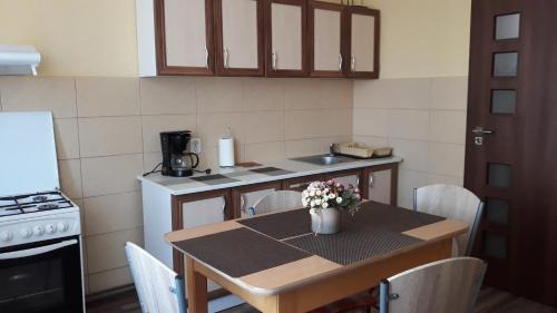 Centrul Nou House | Villa Casa Ioana