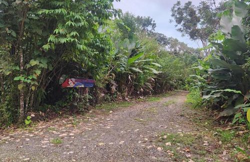 Puerto Jimenez House | Villa Casa Sirena