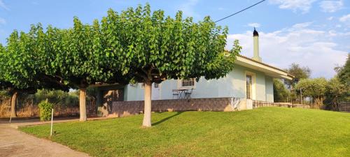 Pyrgos Villa | Villa Chryssi