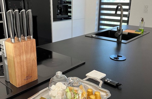 Habsheim Villa | Villa close to Switzerland and Germany