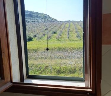 Sorso House | Villa del Gheppio