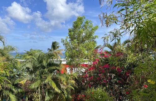 Tartane House | Villa Echo des Vagues, Bord de Mer, Plage de Mabouya, 2 mn de Sainte Luce