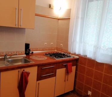 Sector 1 Apartment | Villa Edera Residence - Gazda Profesionista